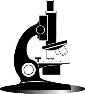 Экспертиза и оценка Сочи microscope-clip-art-678286.jpg
