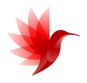 Красный колибри - Город Сочи 1.1-main..jpg